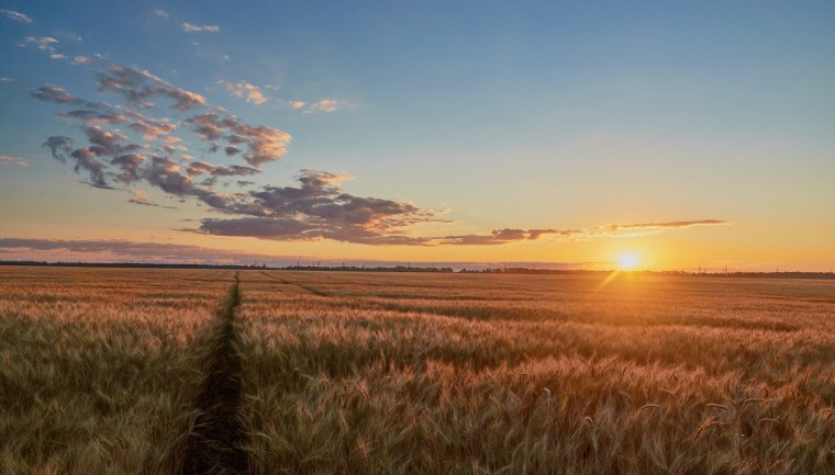 Степной закат