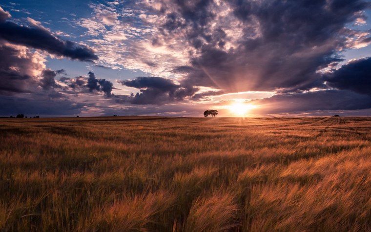 Закат в степи