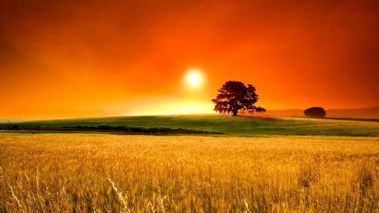 Закат в поле картина