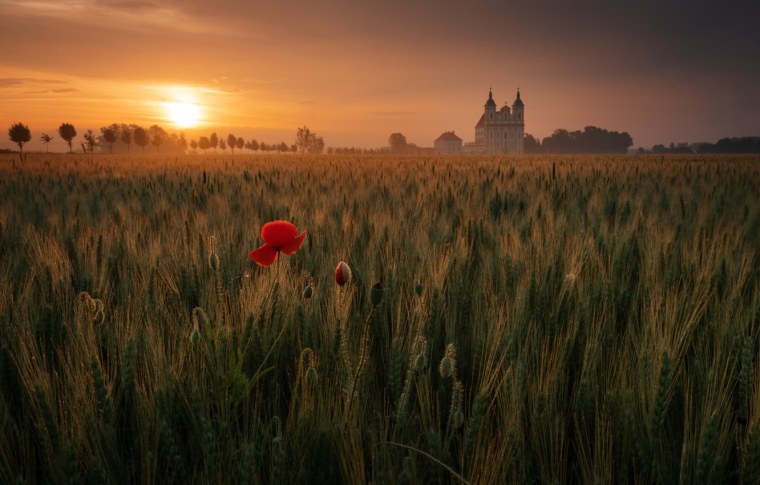 Закат в поле