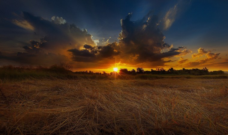 Рассвет в поле
