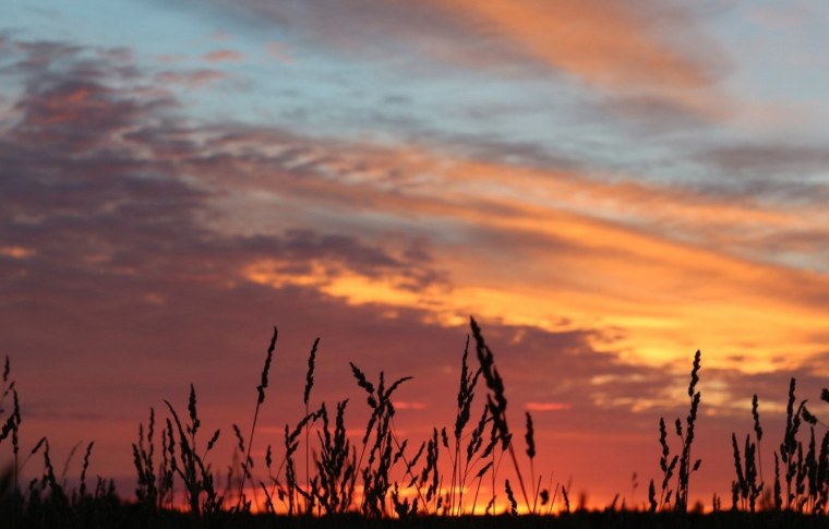 Фон закат в поле