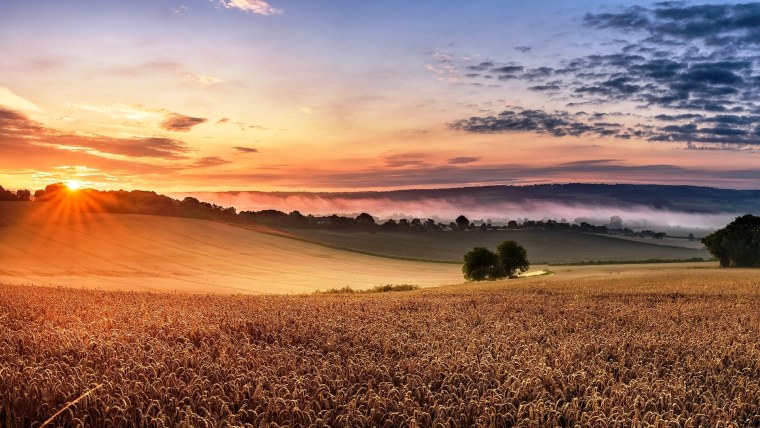 Красивый закат в поле