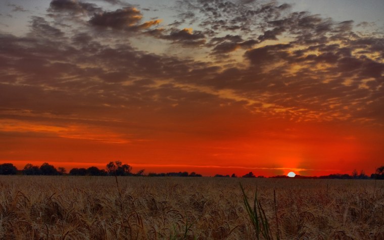 Красный закат над полем