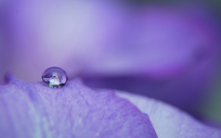 Тёмно лавандовый цвет