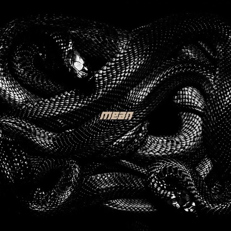 Змея на черном фоне