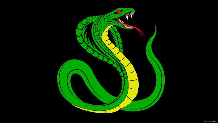 Зеленая змея арт