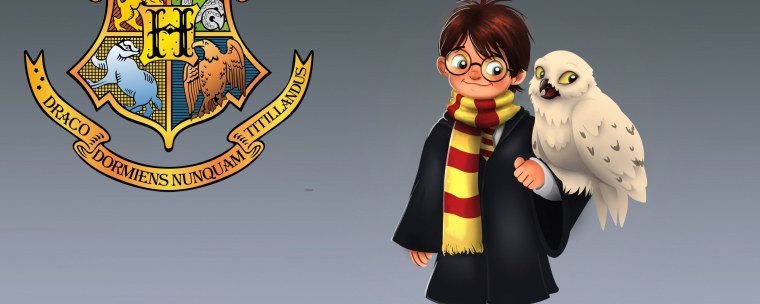 Хогвартс квиддич Рейвенкло