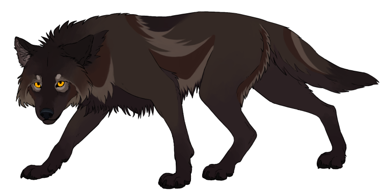 Волк арт без фона
