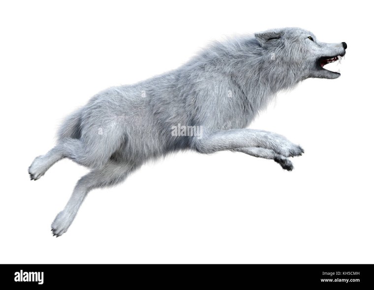 Волк прыгает