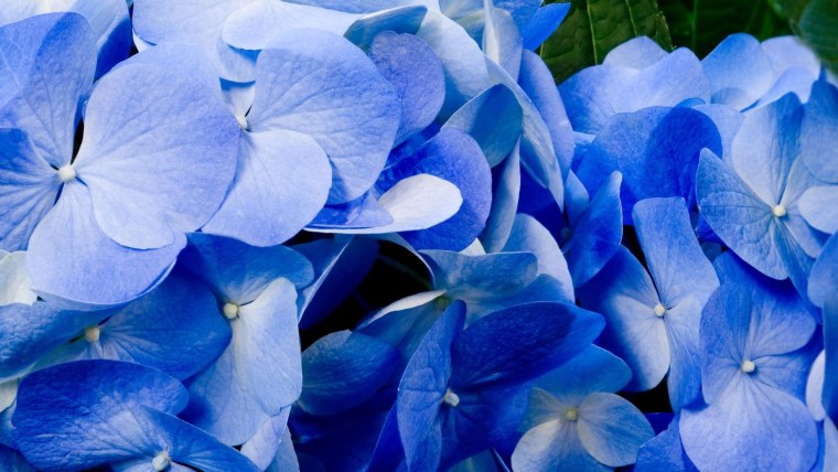 STARWIND SW-led40ba201