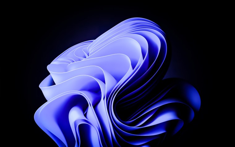 Windows 11 screenshot