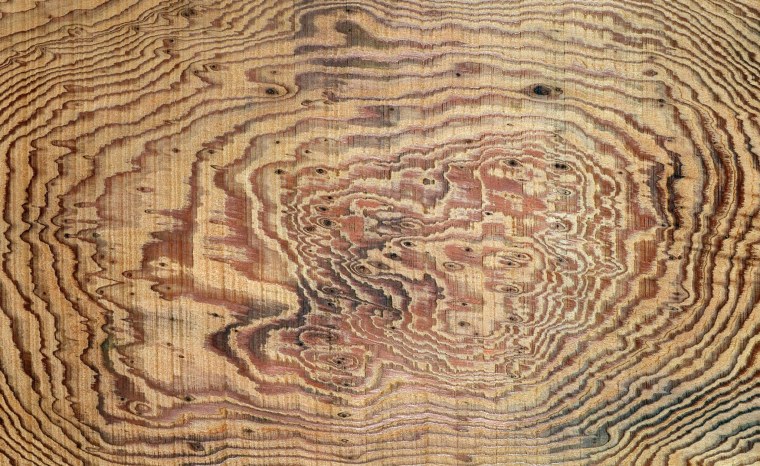 Карельская береза продольный срез