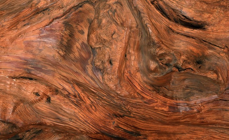 Слэб древесины текстуры