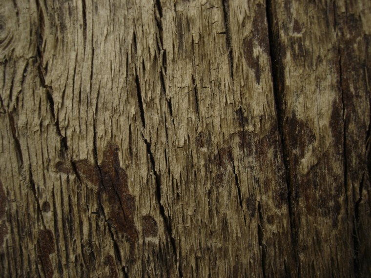 Структура дерева