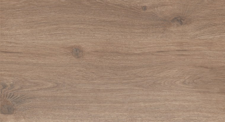 Дуб anziano цвет