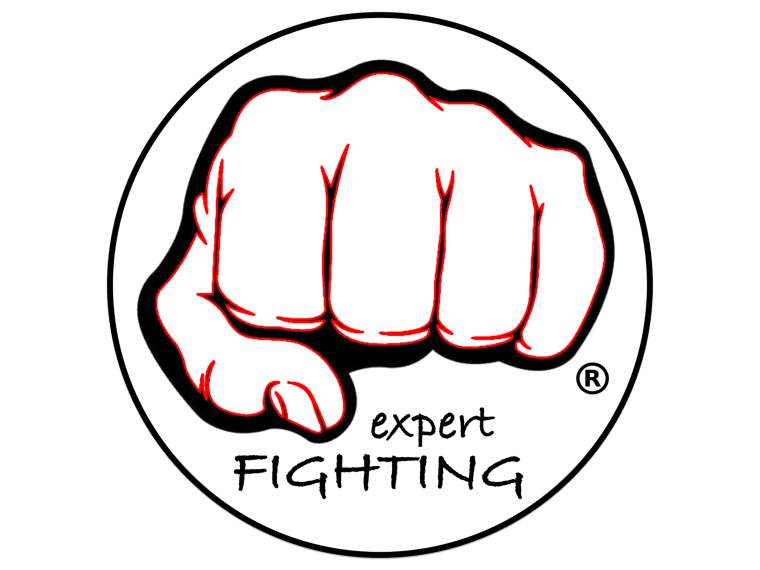 Удар логотип