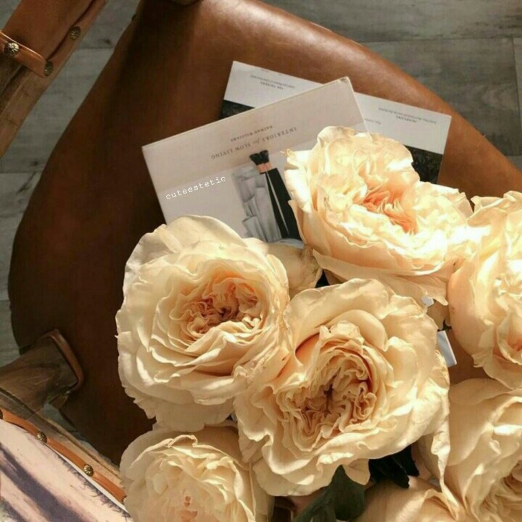 Бежевые цветы Эстетика