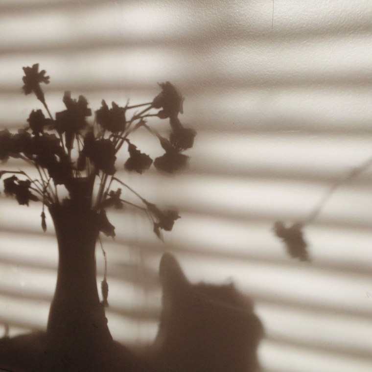 Эстетика бежевого цвета