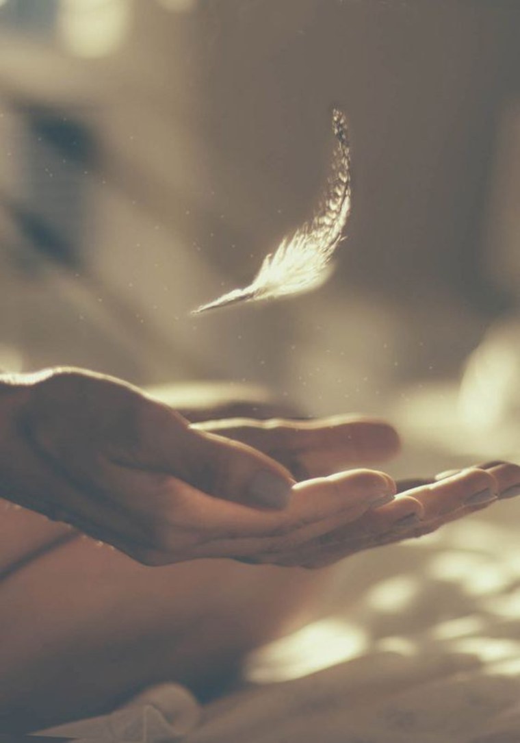 Перышко в руке