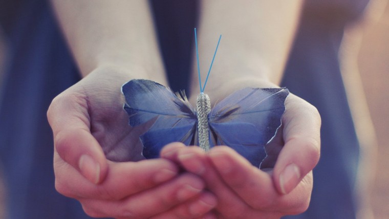 На руку бабочка