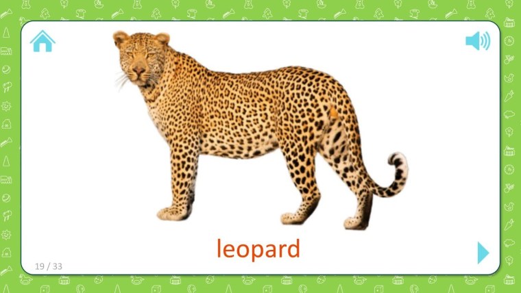 Леопард карточка для детей