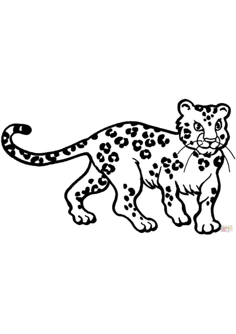 Переднеазиатский леопард раскраска