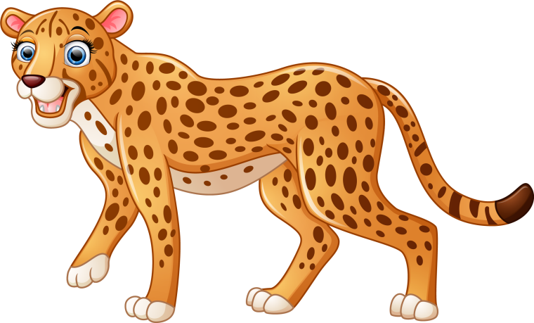 Леопард на белом фоне