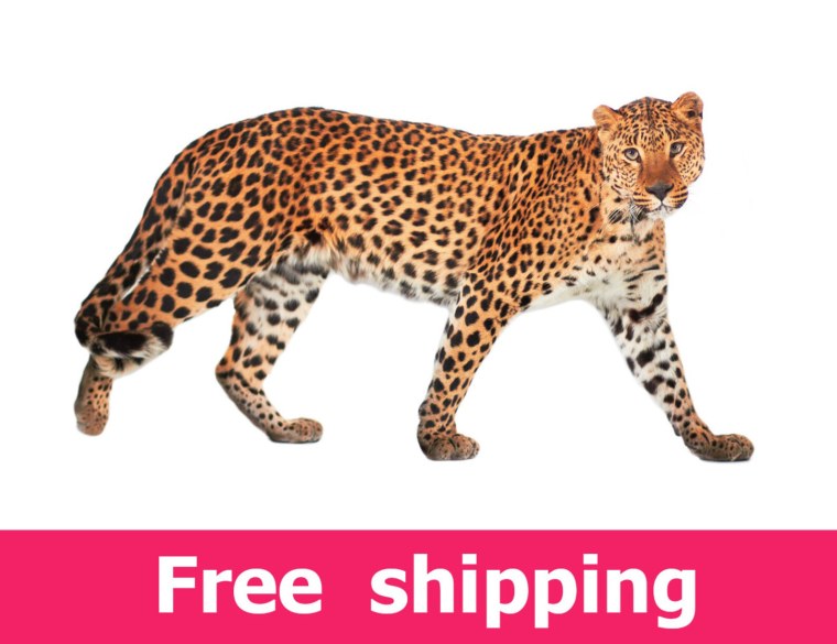 Мультяшный Леопардик