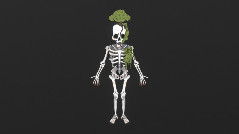 Скелет на черном фоне