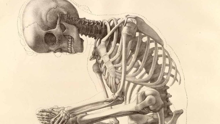 Скелет на черном фоне