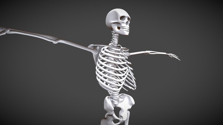 My Princess my Queen Skeleton художник