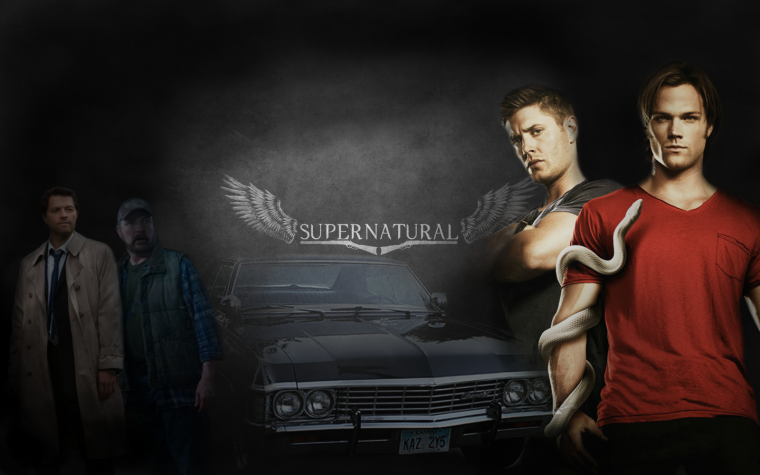 Дин и Сэм Винчестеры