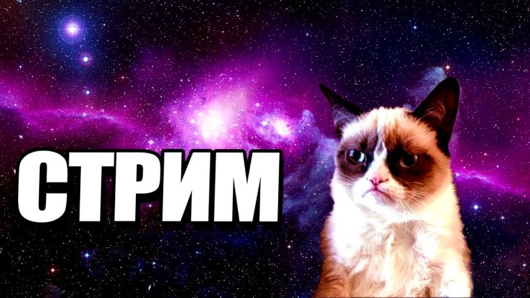 Стрим по Некст РП