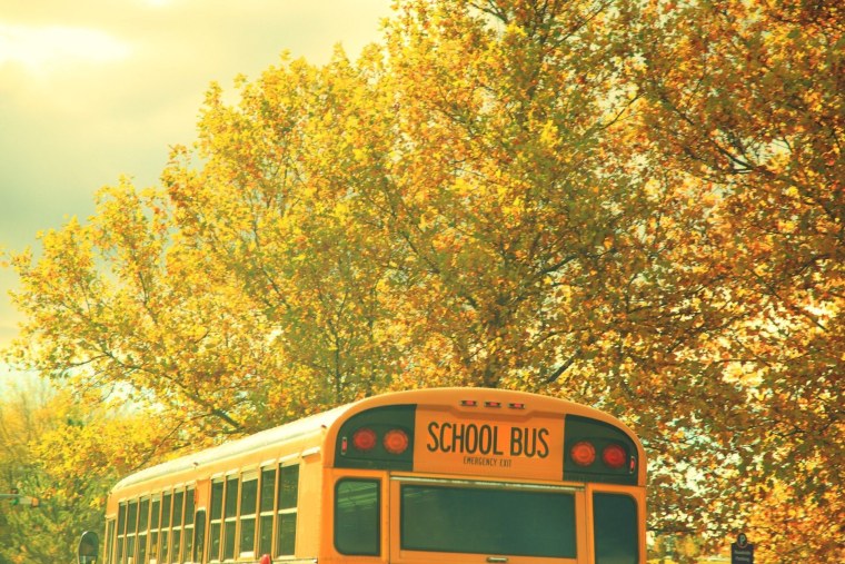 Американский школьный автобус Эстетика