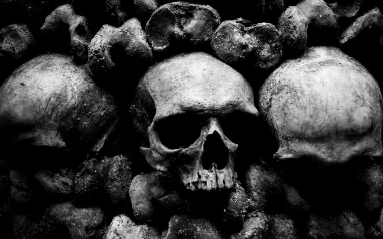 Черепа много