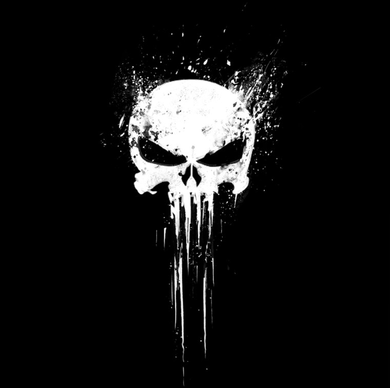 The Punisher игра череп