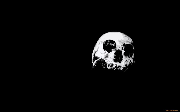 Черепана бело темном фоне