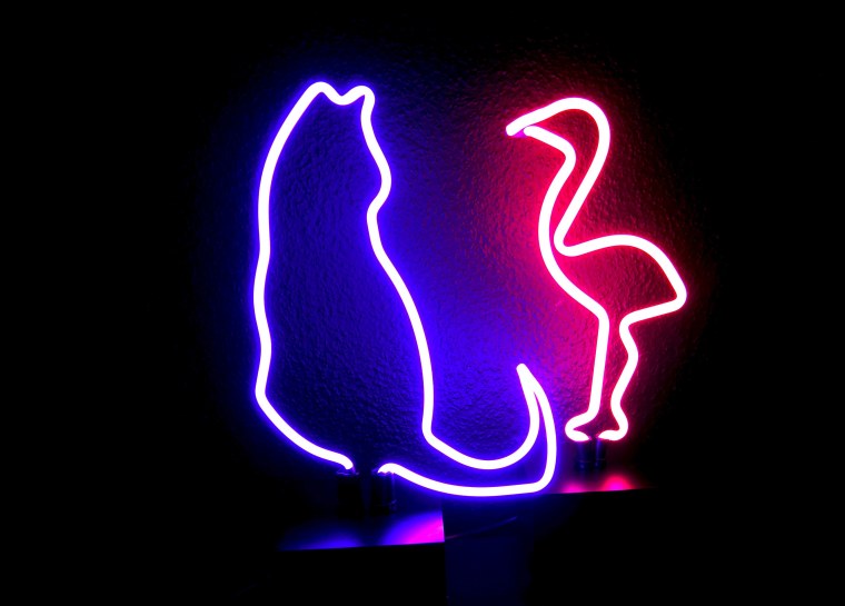 Неоновые обои