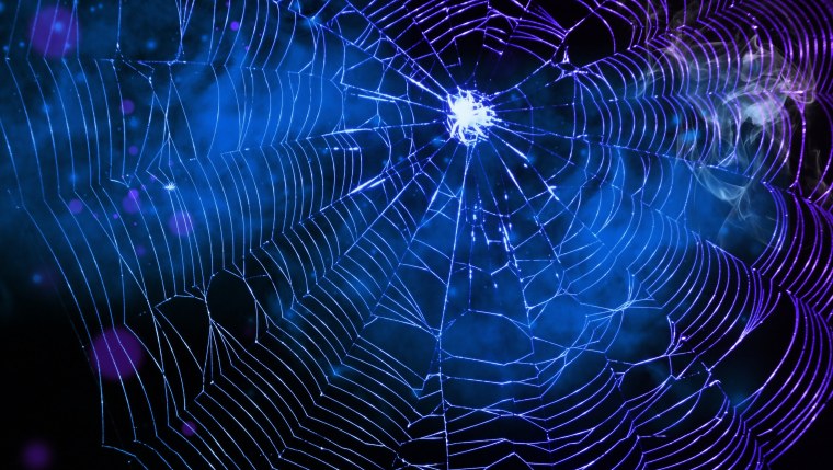 Цифровая паутина