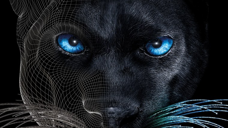 Темная тема