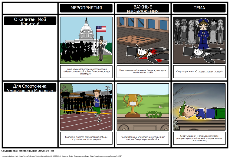 Кот командир