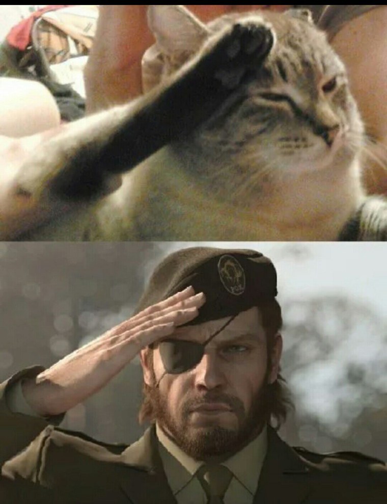 Мемы про последний рабочий день