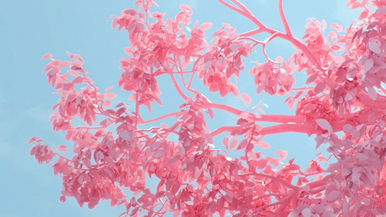 Розовый ноутбук на столе