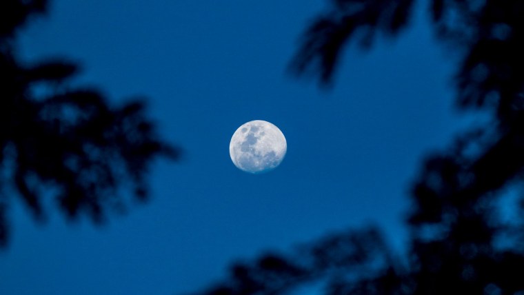 Ночь Луна