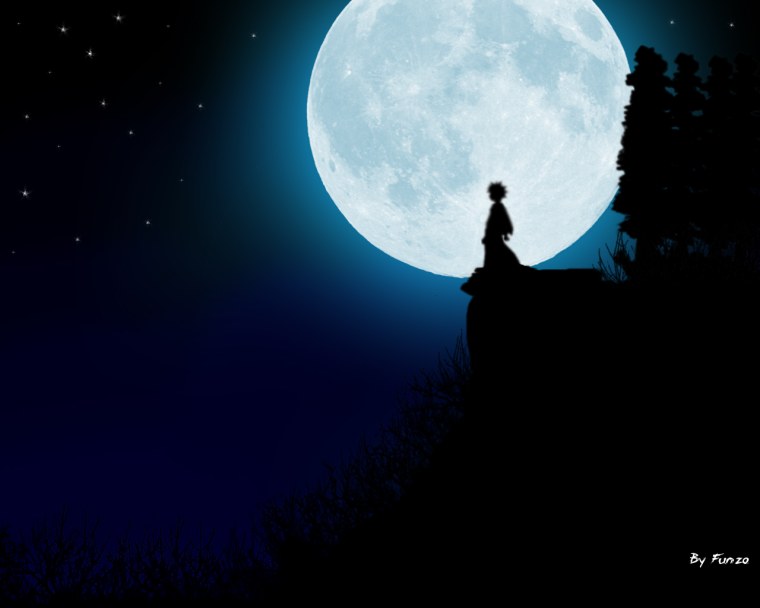 Под лунным светом