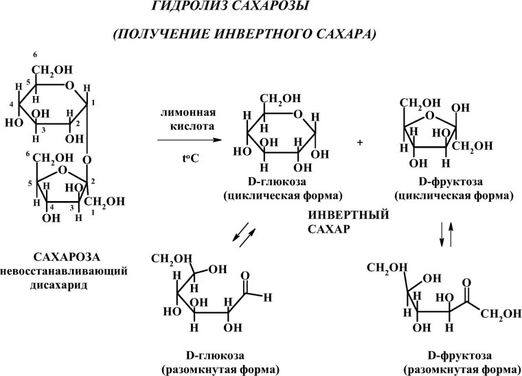 Геншин Импакт sucrose 18