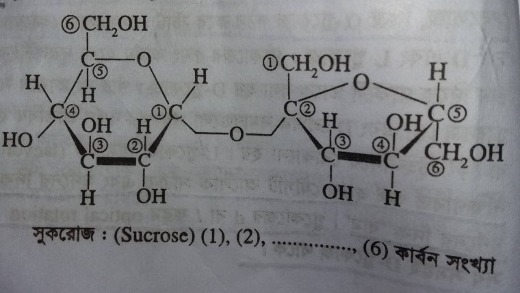 Малина в корзинке