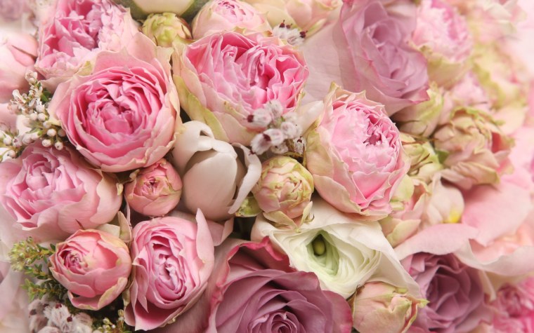 Пионовидная роза пастельных тонов