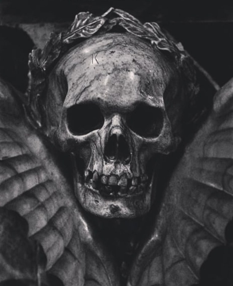 Картинки черепа